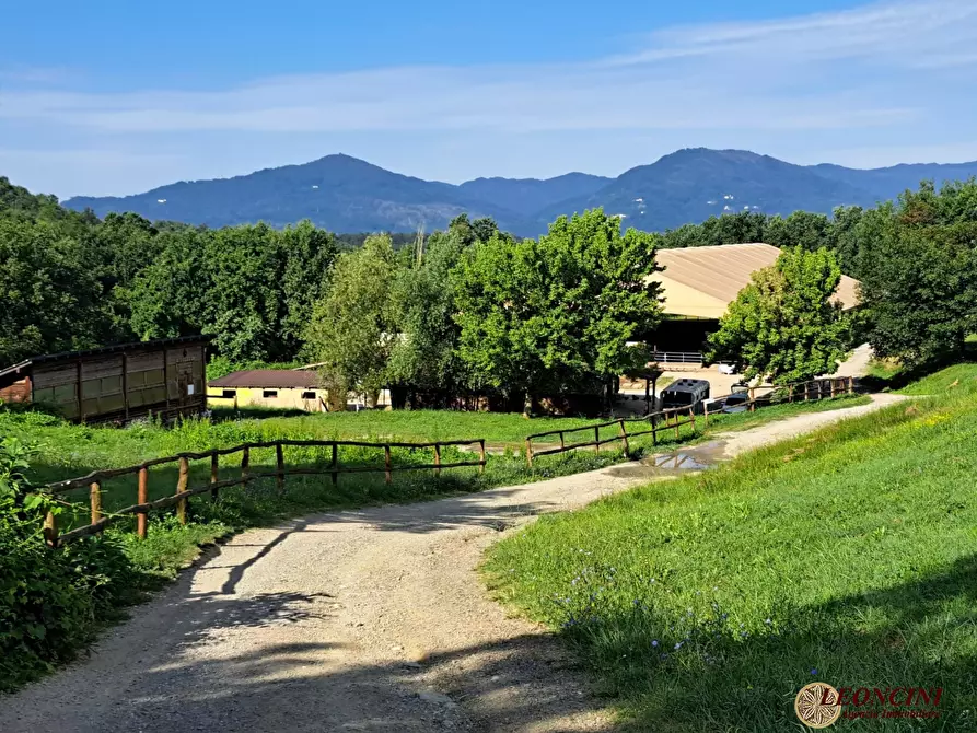 Immagine 5 di Rustico / casale in vendita  2 a Licciana Nardi