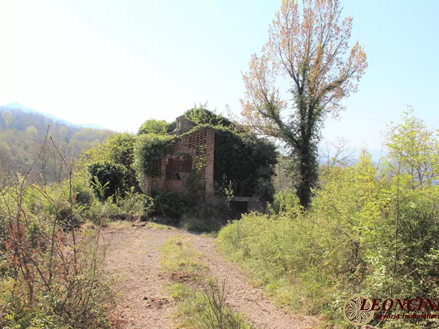 Immagine 10 di Rustico / casale in vendita  22 a Villafranca In Lunigiana