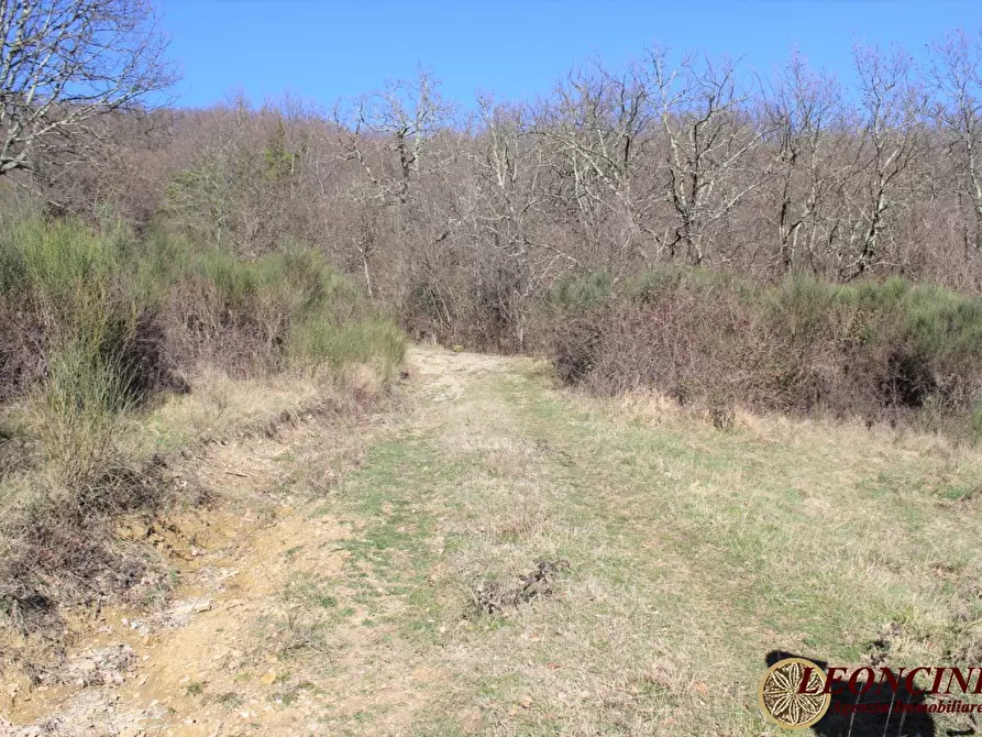 Immagine 4 di Rustico / casale in vendita  23 a Pontremoli