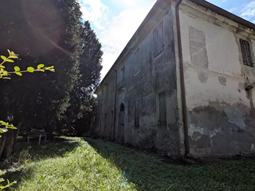 Immagine 7 di Rustico / casale in vendita  a Borgoricco