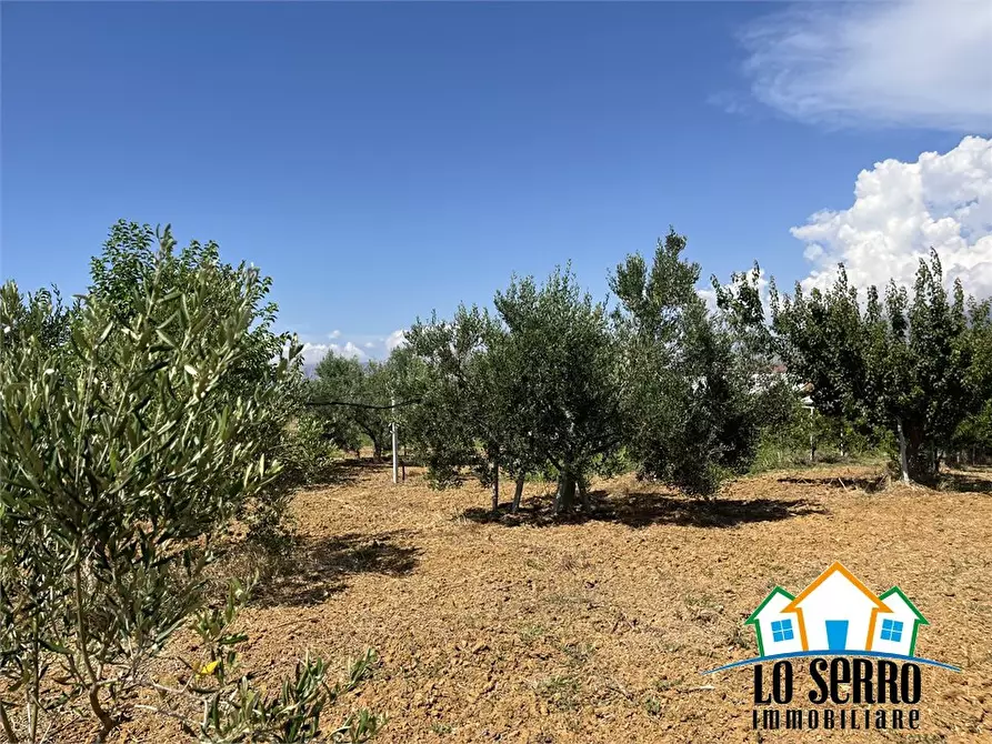 Immagine 4 di Rustico / casale in vendita  a Partinico