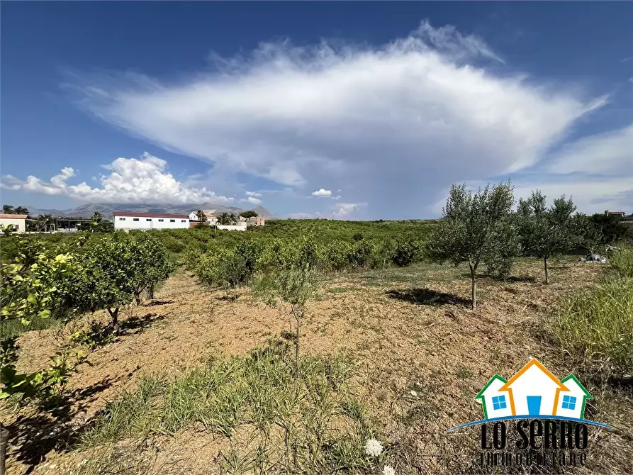 Immagine 8 di Rustico / casale in vendita  a Partinico