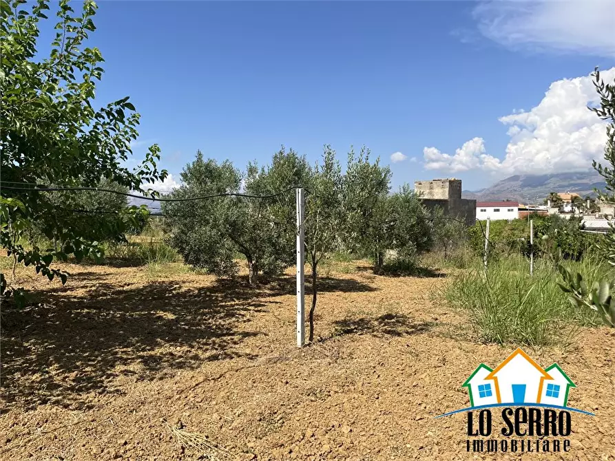 Immagine 7 di Rustico / casale in vendita  a Partinico