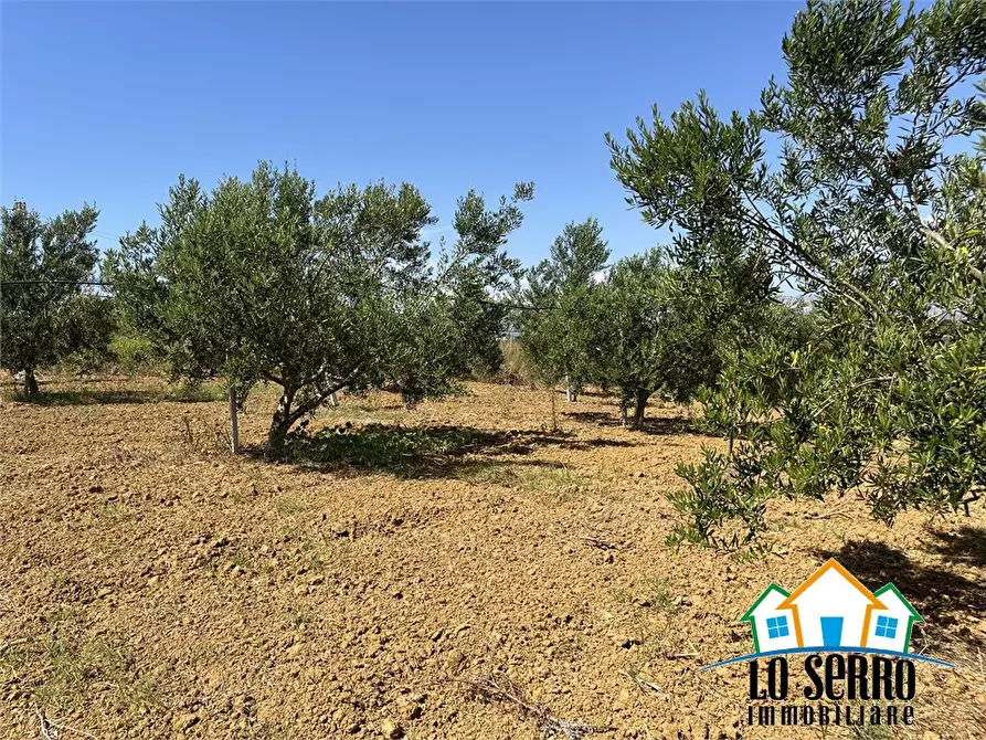 Immagine 9 di Rustico / casale in vendita  a Partinico