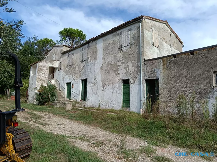 Immagine 1 di Rustico / casale in vendita  a Tavoleto