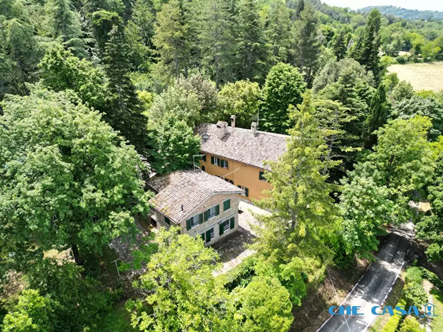 Immagine 2 di Rustico / casale in vendita  4 a Urbino