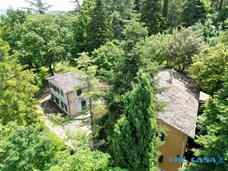 Immagine 3 di Rustico / casale in vendita  4 a Urbino