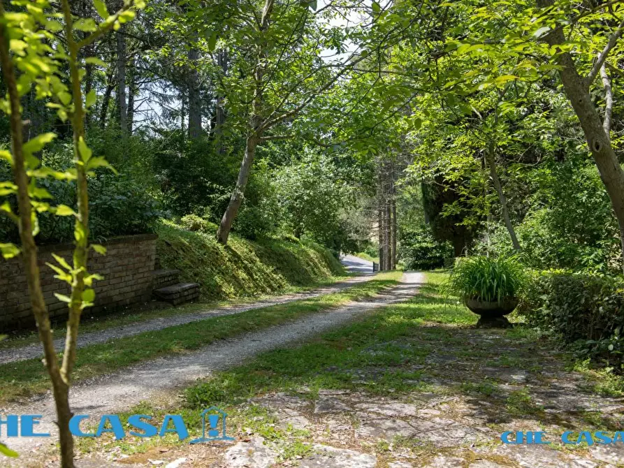 Immagine 10 di Rustico / casale in vendita  4 a Urbino