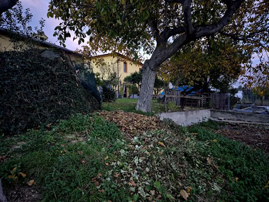 Immagine 6 di Rustico / casale in vendita  5 a Loreto Aprutino