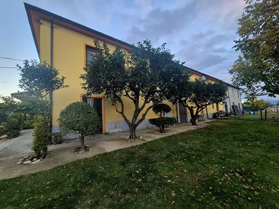 Immagine 10 di Rustico / casale in vendita  5 a Loreto Aprutino
