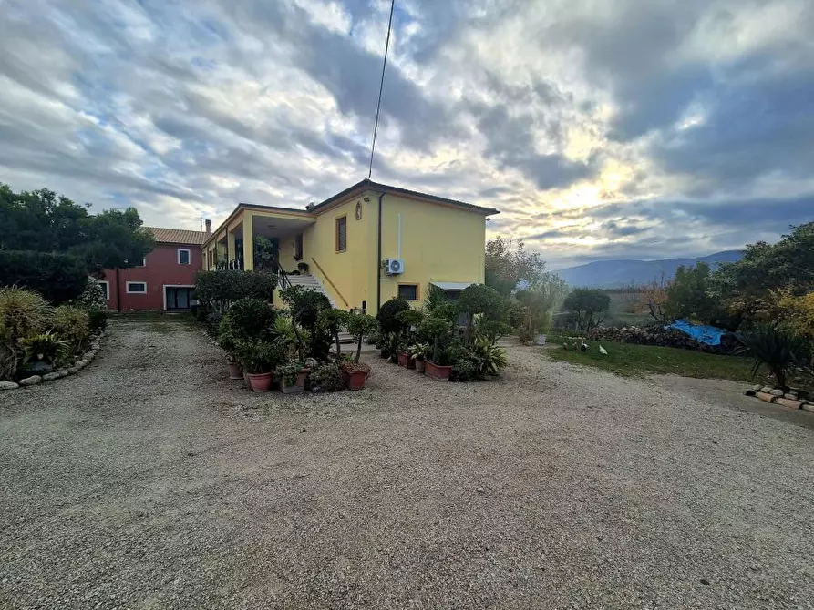 Immagine 3 di Rustico / casale in vendita  5 a Loreto Aprutino