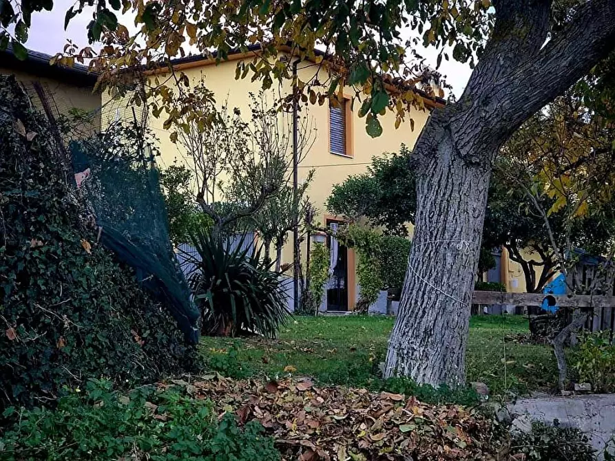 Immagine 5 di Rustico / casale in vendita  5 a Loreto Aprutino