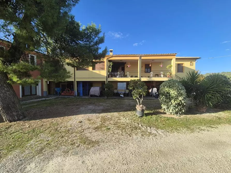 Immagine 4 di Rustico / casale in vendita  5 a Loreto Aprutino