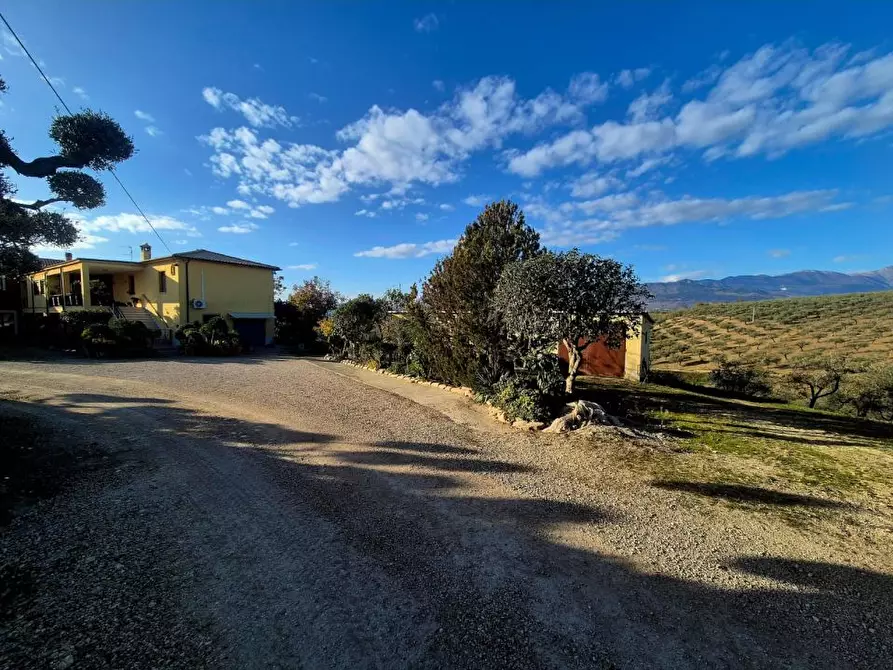 Immagine 1 di Rustico / casale in vendita  a Loreto Aprutino