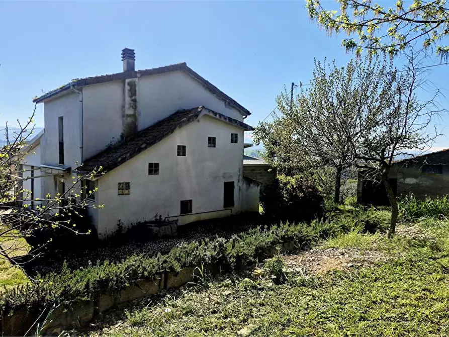 Immagine 3 di Rustico / casale in vendita  6 a Elice