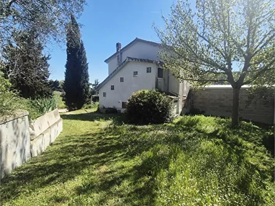 Immagine 4 di Rustico / casale in vendita  6 a Elice