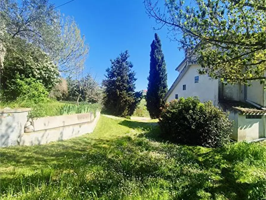 Immagine 6 di Rustico / casale in vendita  6 a Elice