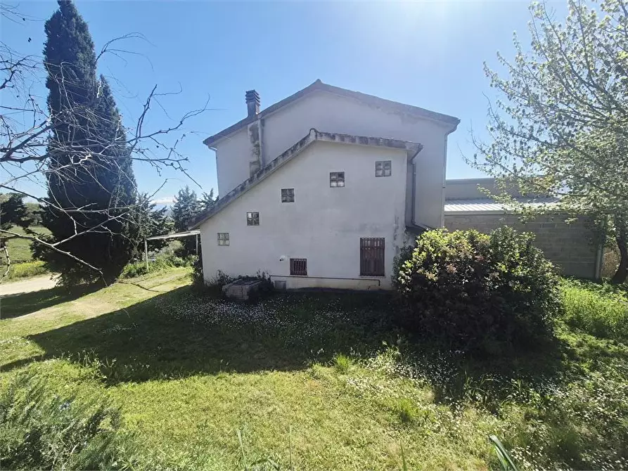 Immagine 5 di Rustico / casale in vendita  6 a Elice