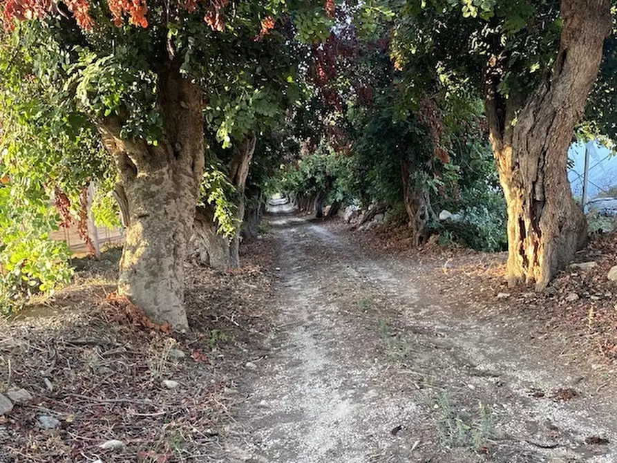 Immagine 1 di Rustico / casale in vendita  a Ragusa