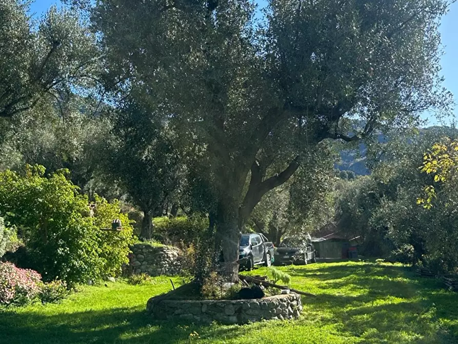 Immagine 4 di Rustico / casale in vendita  a San Lorenzo