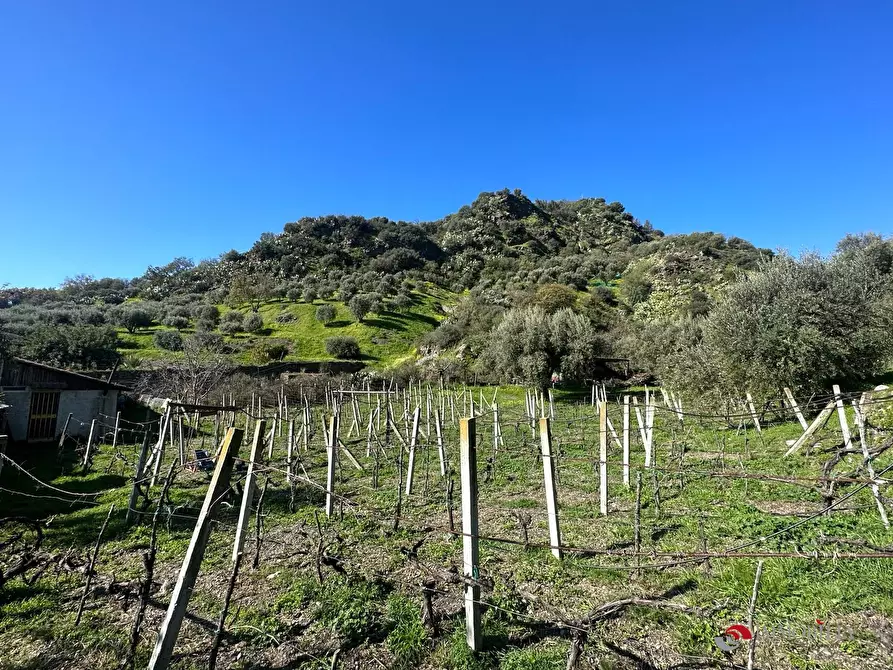 Immagine 9 di Rustico / casale in vendita  a San Lorenzo