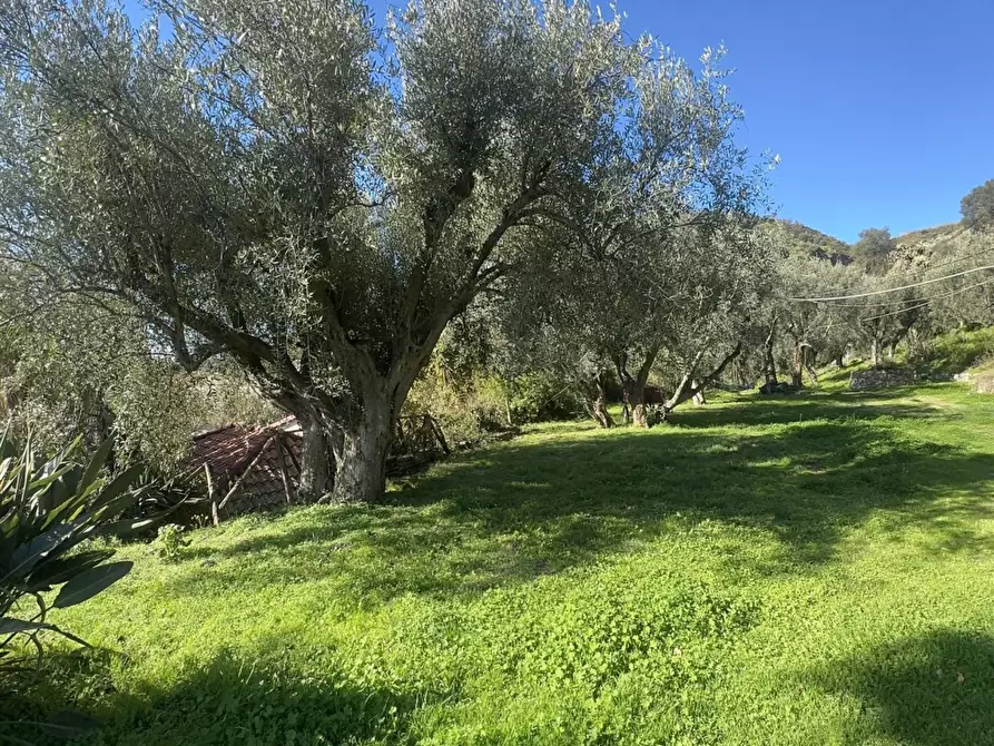 Immagine 5 di Rustico / casale in vendita  a San Lorenzo