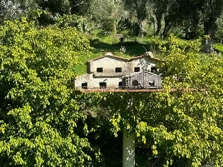 Immagine 8 di Rustico / casale in vendita  a San Lorenzo