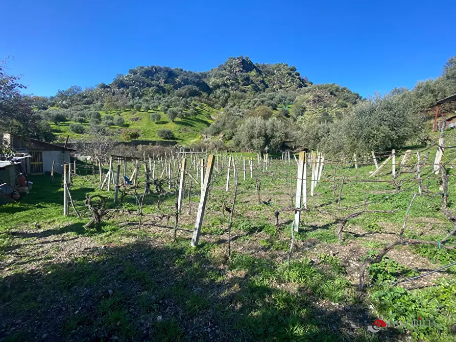 Immagine 10 di Rustico / casale in vendita  a San Lorenzo