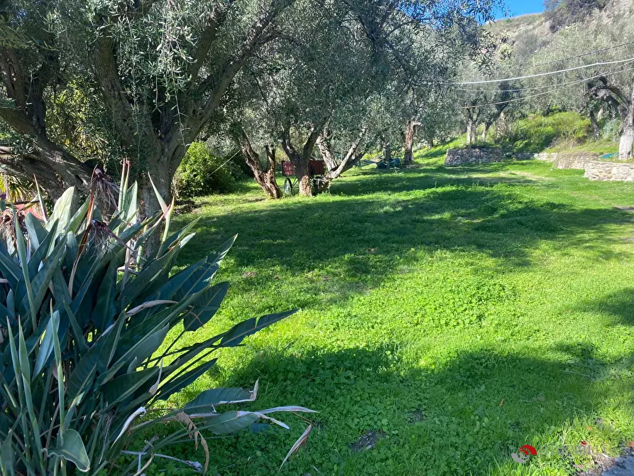 Immagine 3 di Rustico / casale in vendita  a San Lorenzo