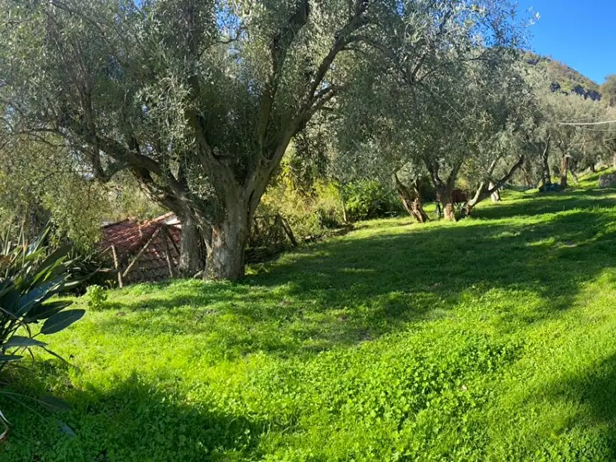 Immagine 2 di Rustico / casale in vendita  a San Lorenzo