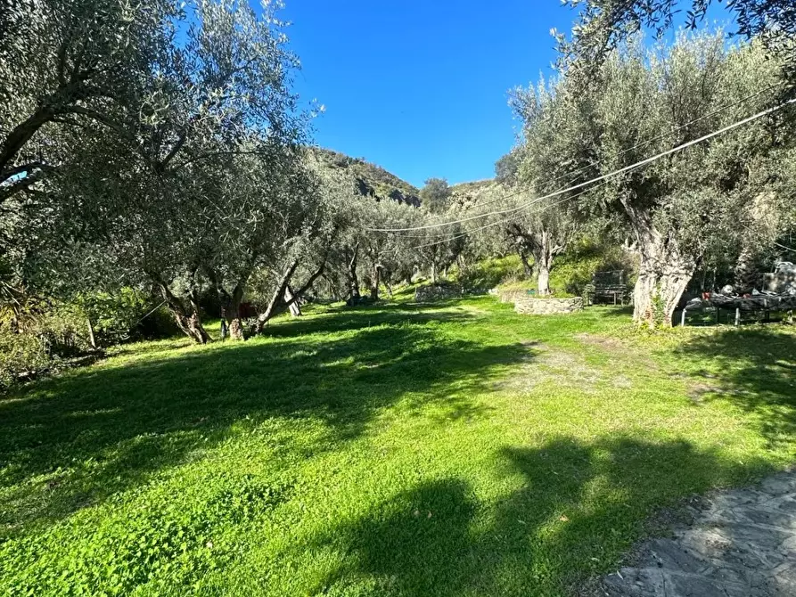 Immagine 7 di Rustico / casale in vendita  a San Lorenzo