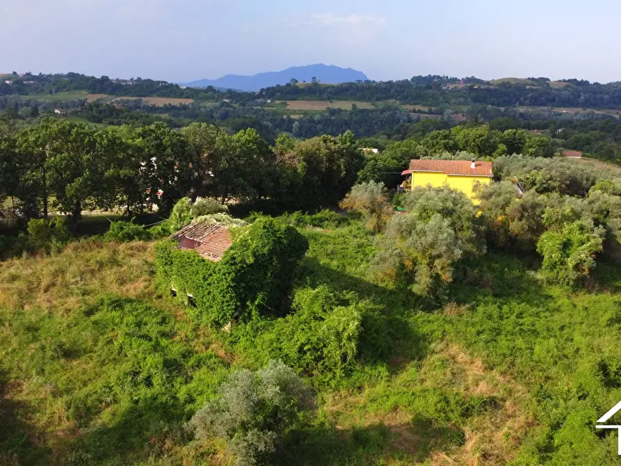 Immagine 1 di Rustico / casale in vendita  a Montebuono