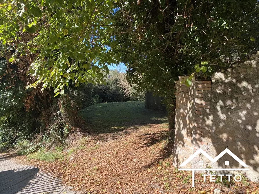 Immagine 2 di Rustico / casale in vendita  snc a Forano