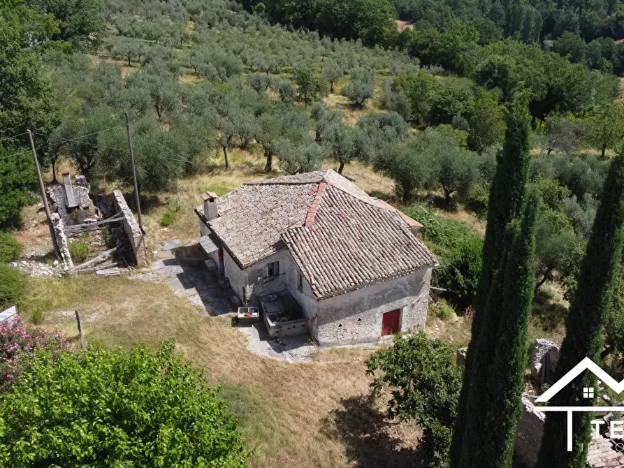 Immagine 1 di Rustico / casale in vendita  37 a Torri In Sabina