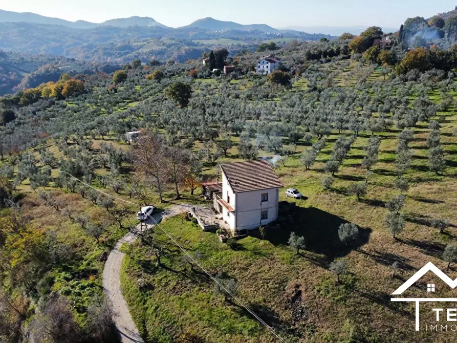 Immagine 5 di Rustico / casale in vendita  a Mompeo