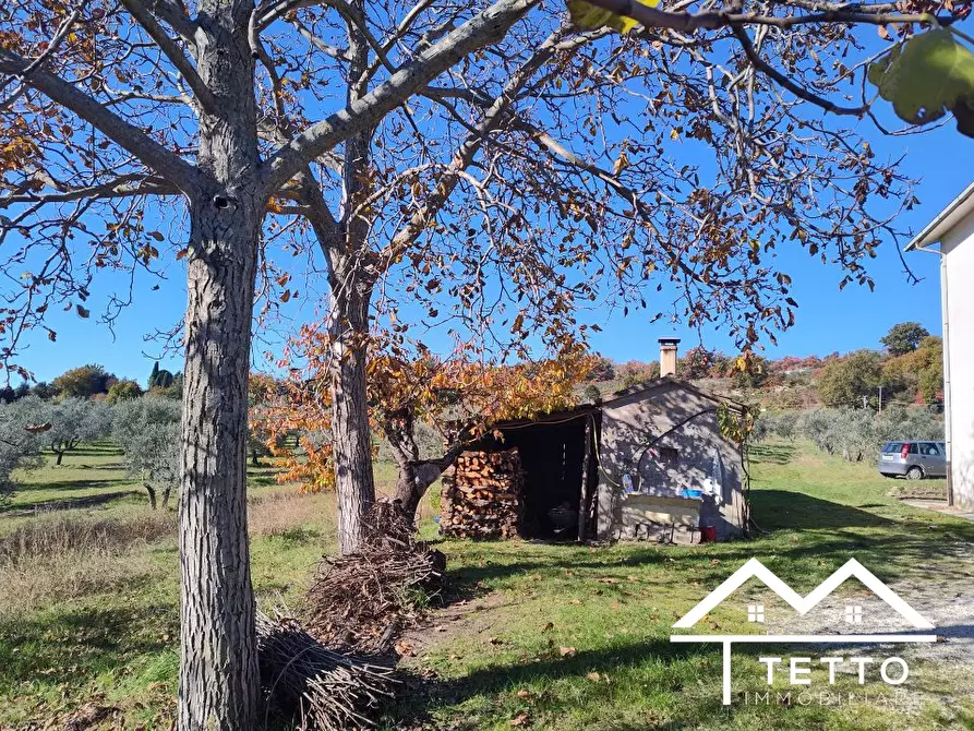 Immagine 9 di Rustico / casale in vendita  a Mompeo