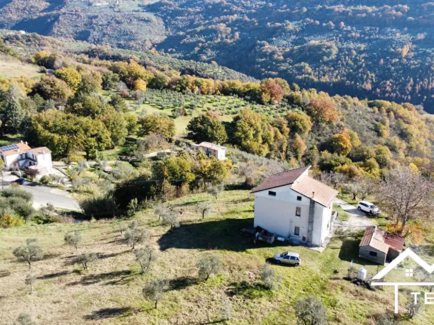 Immagine 3 di Rustico / casale in vendita  a Mompeo
