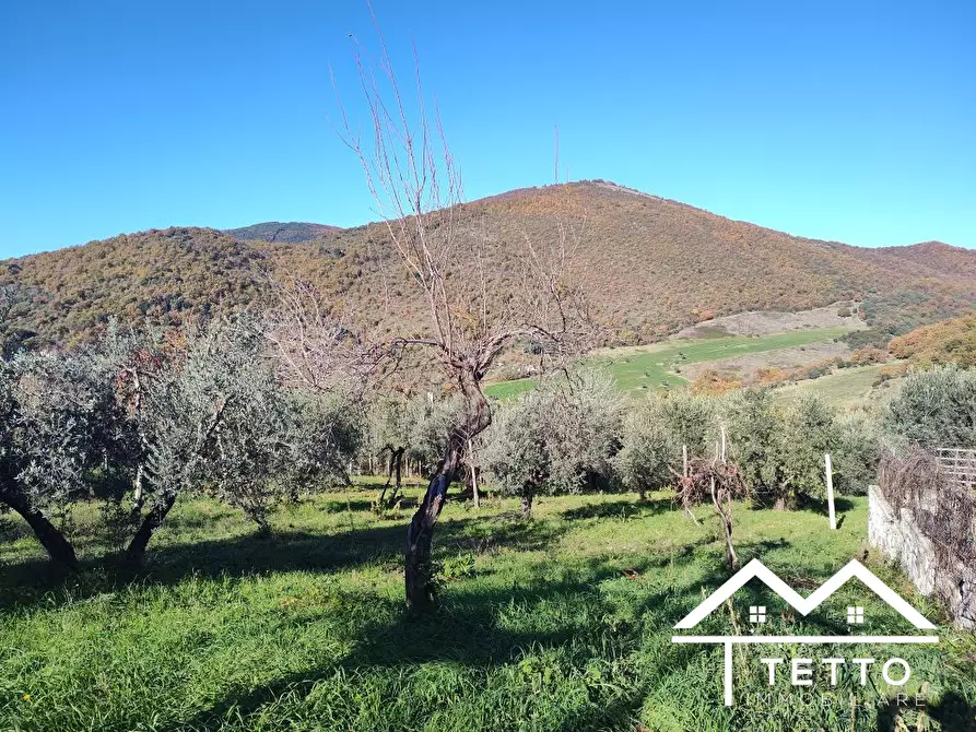 Immagine 10 di Rustico / casale in vendita  a Mompeo