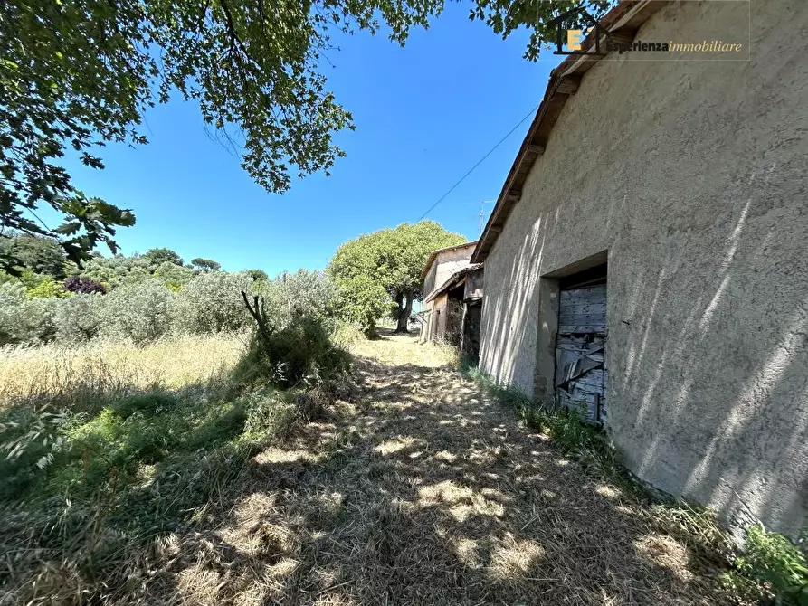 Immagine 10 di Rustico / casale in vendita  33 a Cantalupo In Sabina