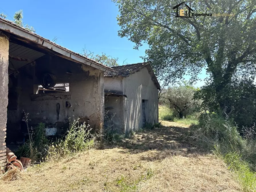 Immagine 9 di Rustico / casale in vendita  33 a Cantalupo In Sabina