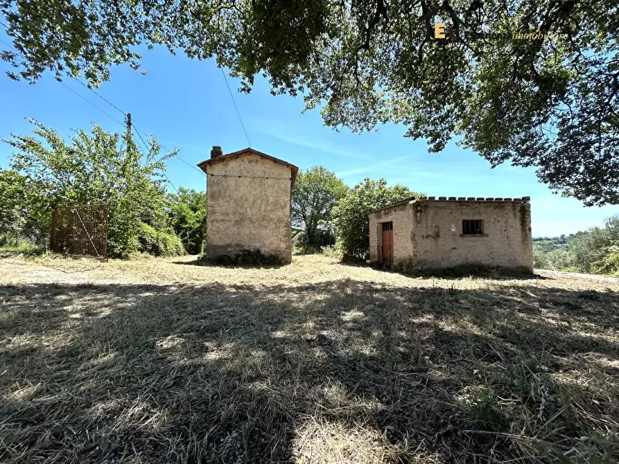 Immagine 4 di Rustico / casale in vendita  33 a Cantalupo In Sabina