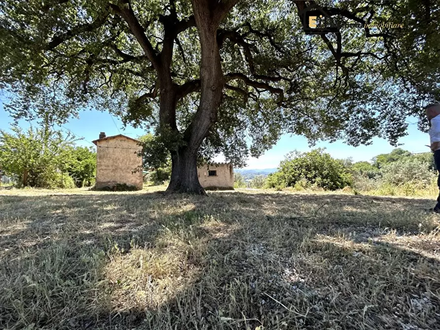 Immagine 3 di Rustico / casale in vendita  33 a Cantalupo In Sabina