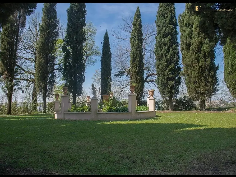 Immagine 4 di Rustico / casale in vendita  a Collevecchio