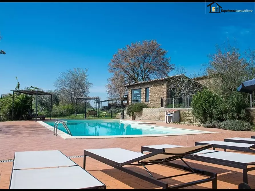 Immagine 5 di Rustico / casale in vendita  a Collevecchio