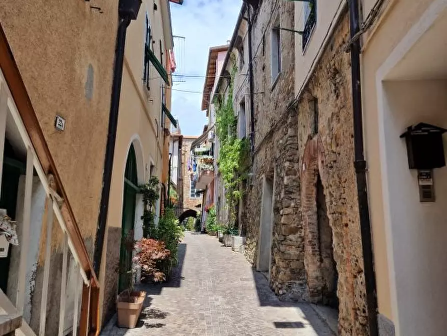 Immagine 3 di Rustico / casale in vendita  a Villanova D'albenga