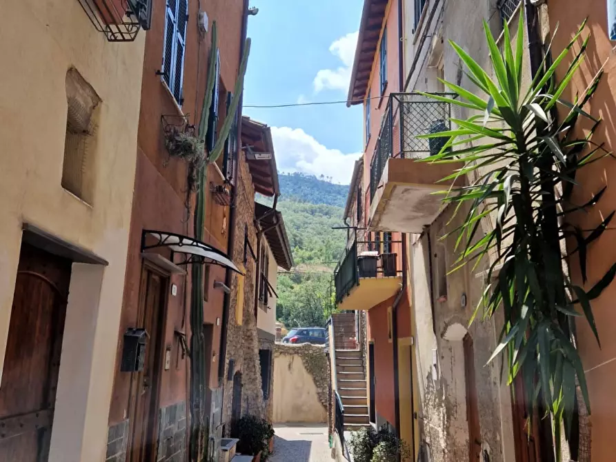 Immagine 4 di Rustico / casale in vendita  a Villanova D'albenga