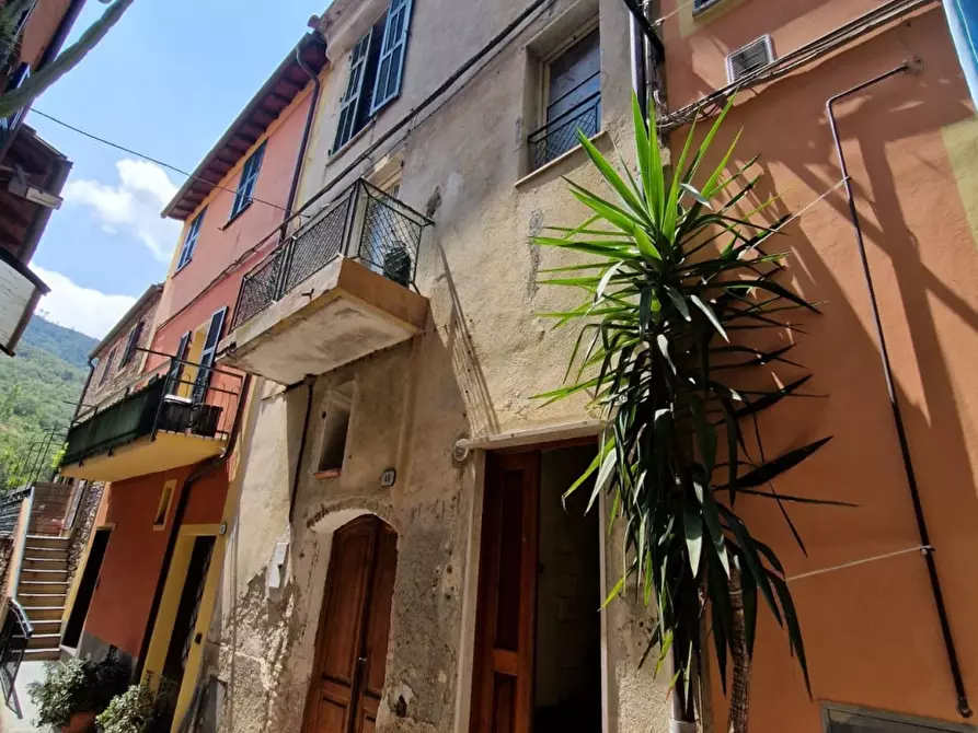 Immagine 1 di Rustico / casale in vendita  a Villanova D'albenga