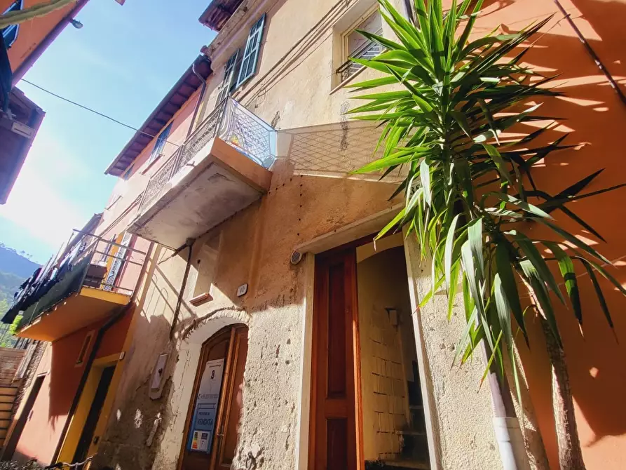 Immagine 1 di Rustico / casale in vendita  a Villanova D'albenga