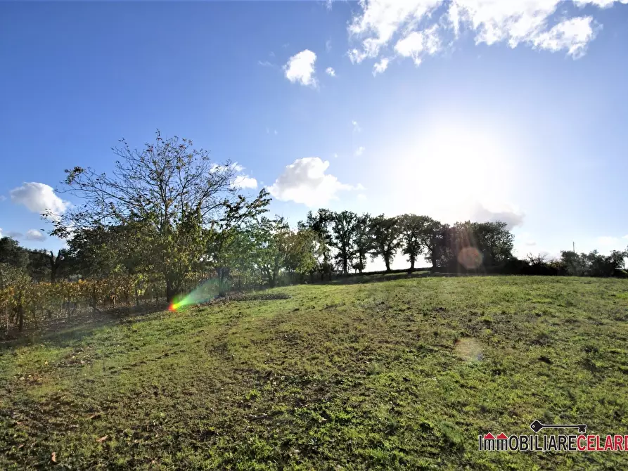 Immagine 9 di Rustico / casale in vendita  a Casole D'elsa