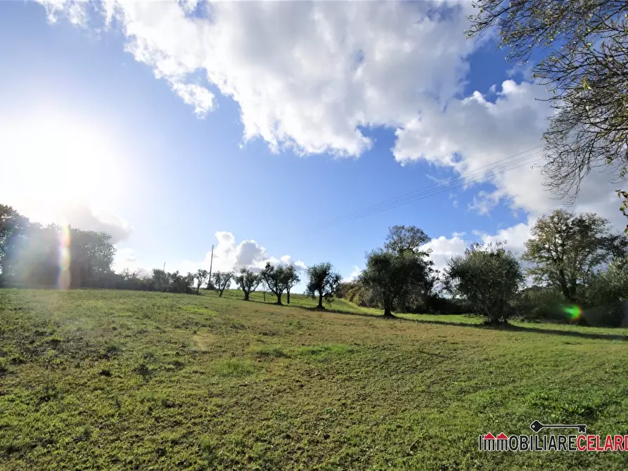 Immagine 8 di Rustico / casale in vendita  a Casole D'elsa